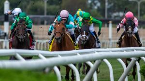 Joe Hirsch Turf Classic, Belmont at the Big A, Eclipse Sportswire